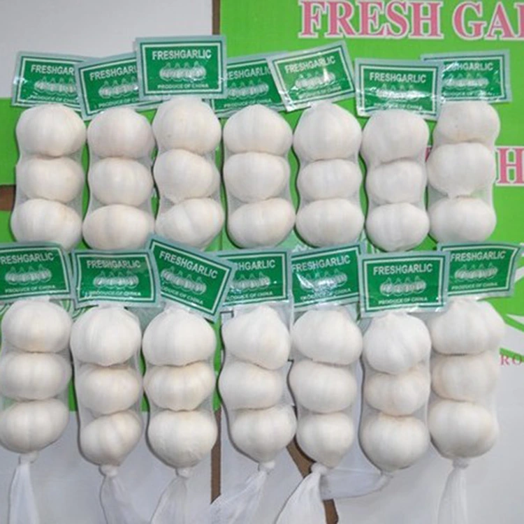 Waa maxay sababta toon Fresh Premium u tahay doorashada la door bidaayo iibsadayaasha miyirka leh?