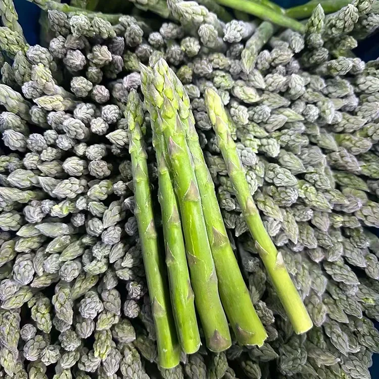 Asparagus Cagaaran Qaboojiyay oo la doortay oo loogu talagalay Adeegga Cunnada Joogtada ah iyo Bixinta Walxaha