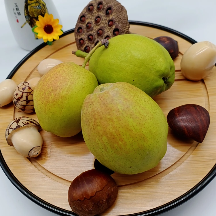 Dhoofinta Fasalka Udgoon