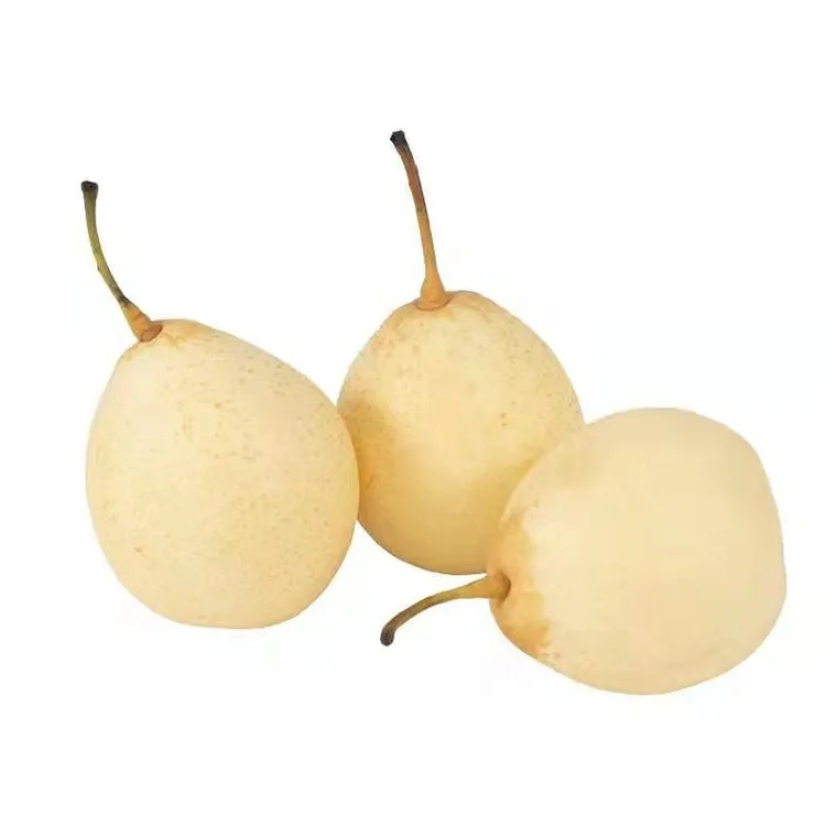 Ya Pear oo Hadda La Gooyey