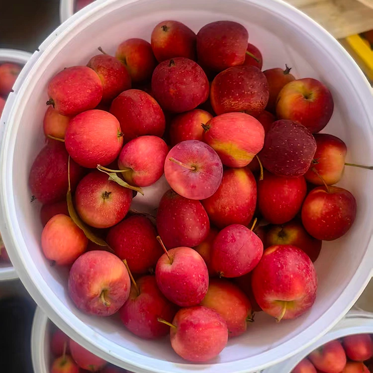 Tufaax Cherry Shiinees ah oo heer-sare ah
