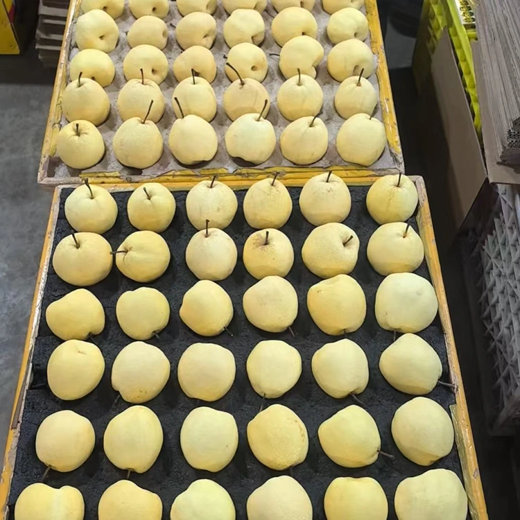Fresh-Picked Gong Pears