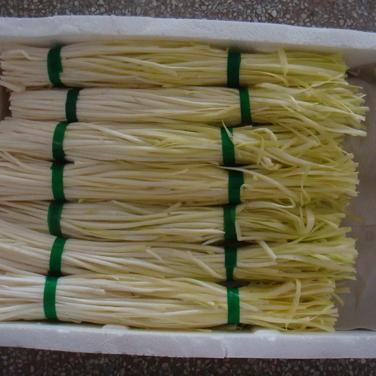 Tender Yellow Chives