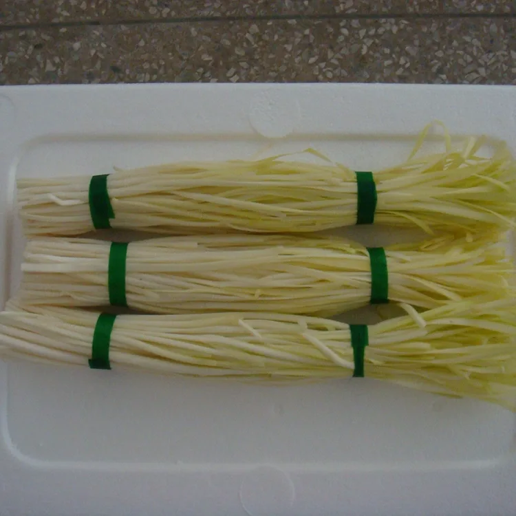 Tender Yellow Chives