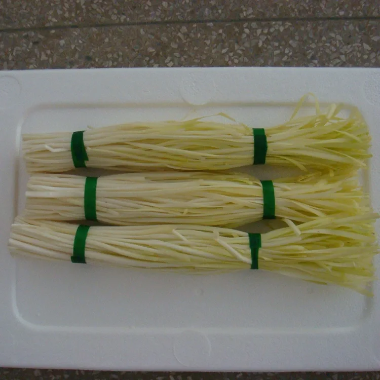 Tender Yellow Chives