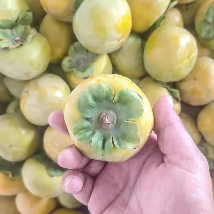 Persimmon cusub oo qallafsan